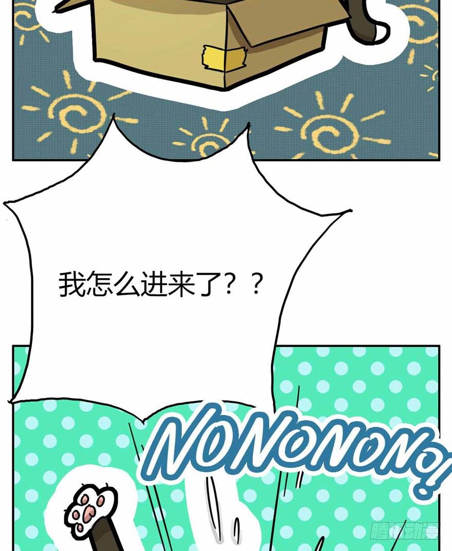 第27爪 猫之结界-第27话