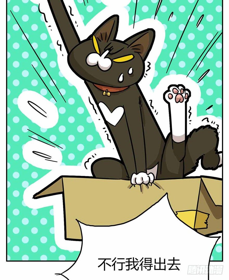 第27爪 猫之结界-第27话