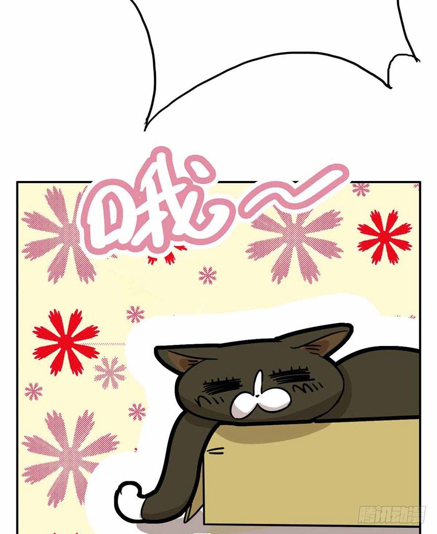 第27爪 猫之结界-第27话