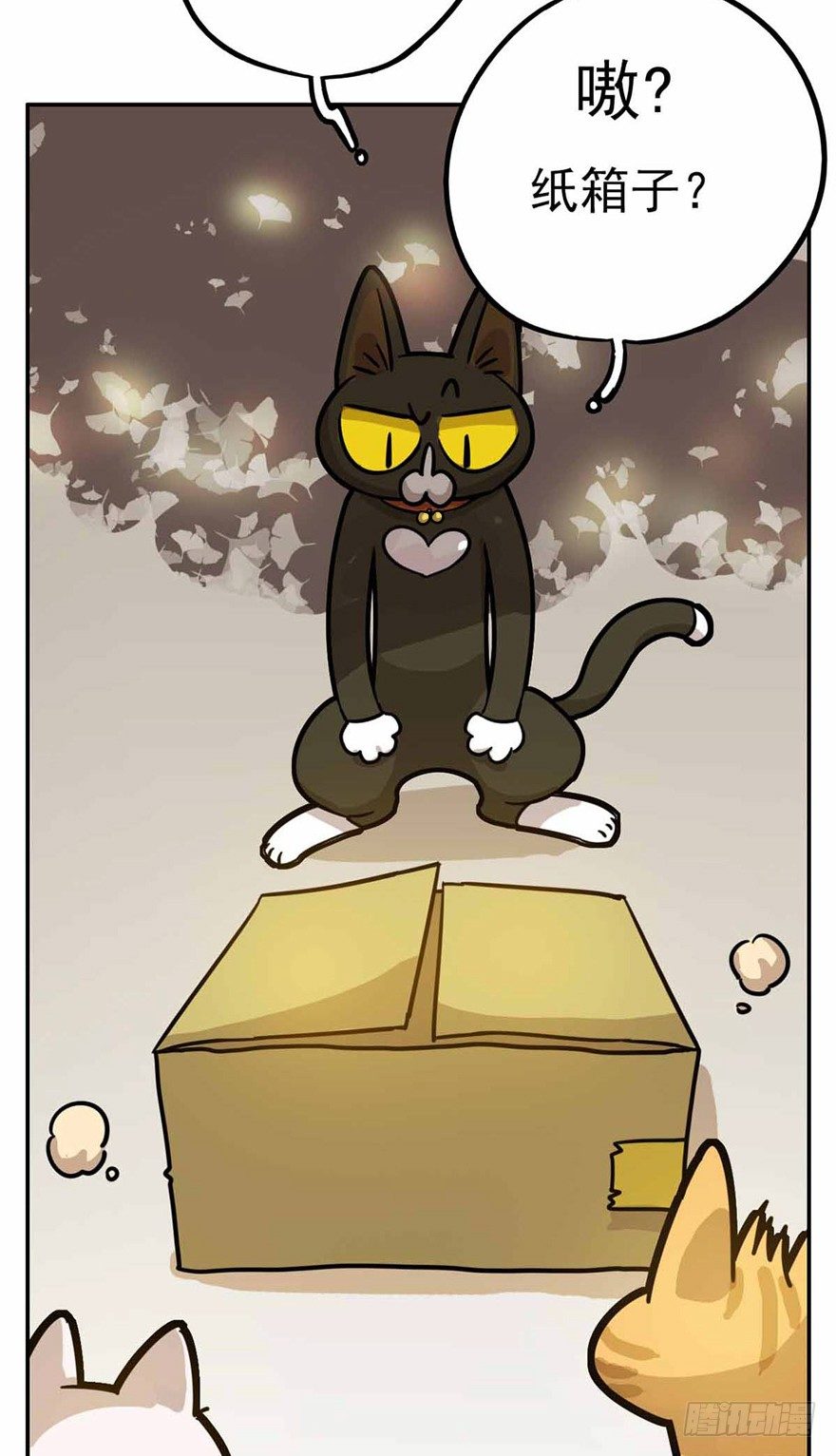 第27爪 猫之结界-第27话