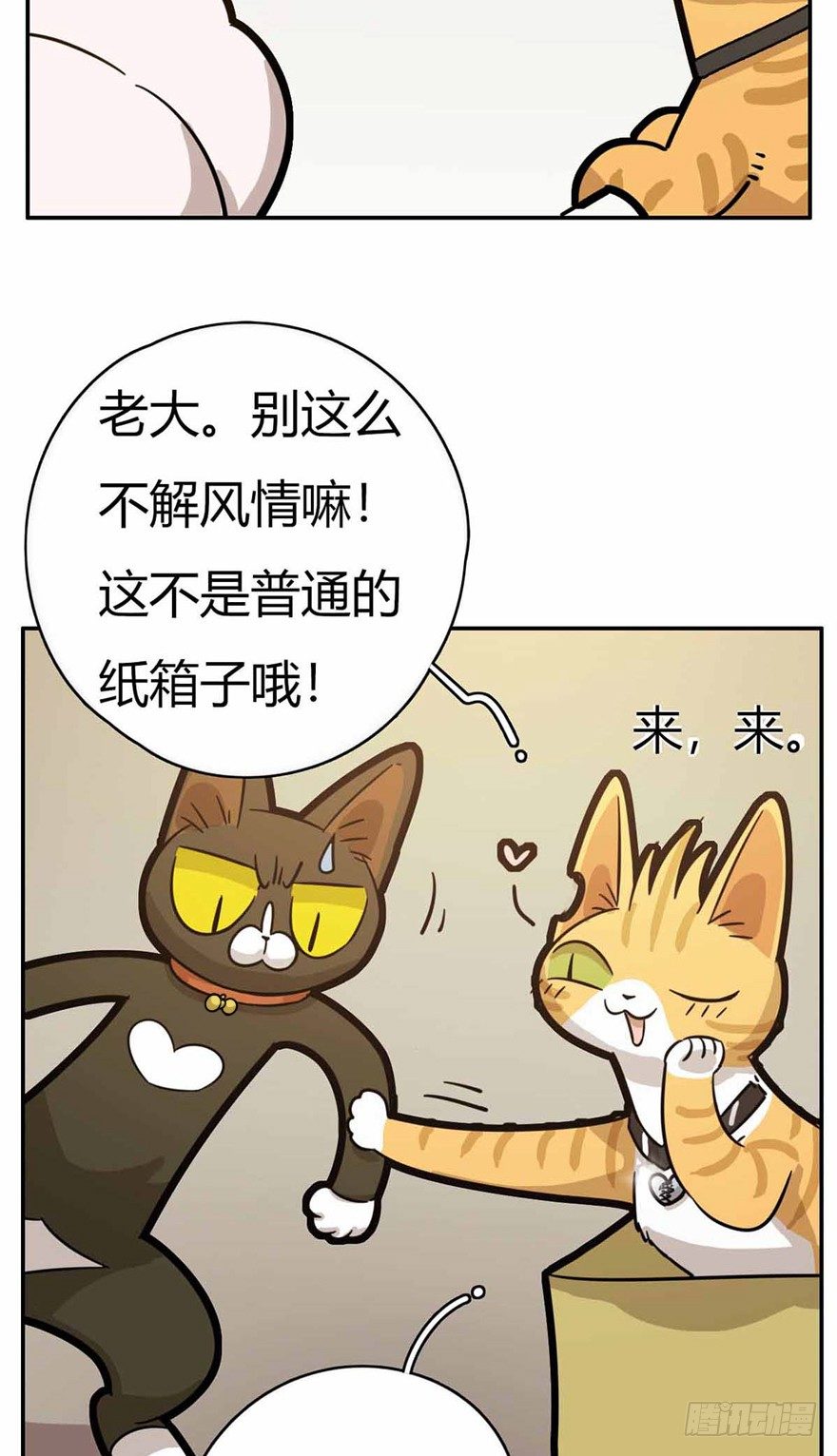 第27爪 猫之结界-第27话