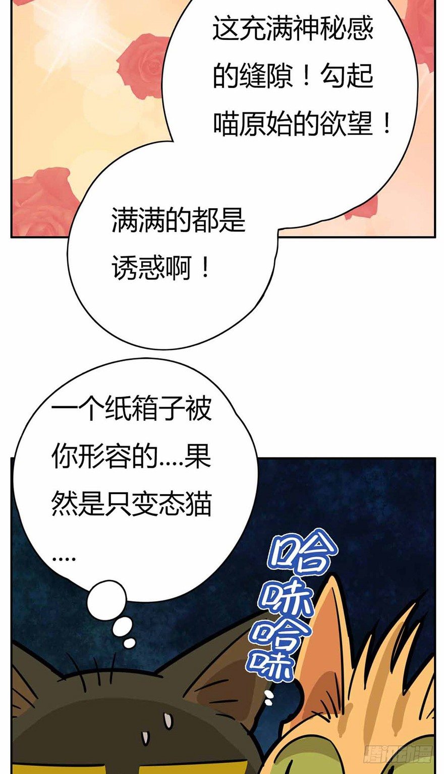 第27爪 猫之结界-第27话