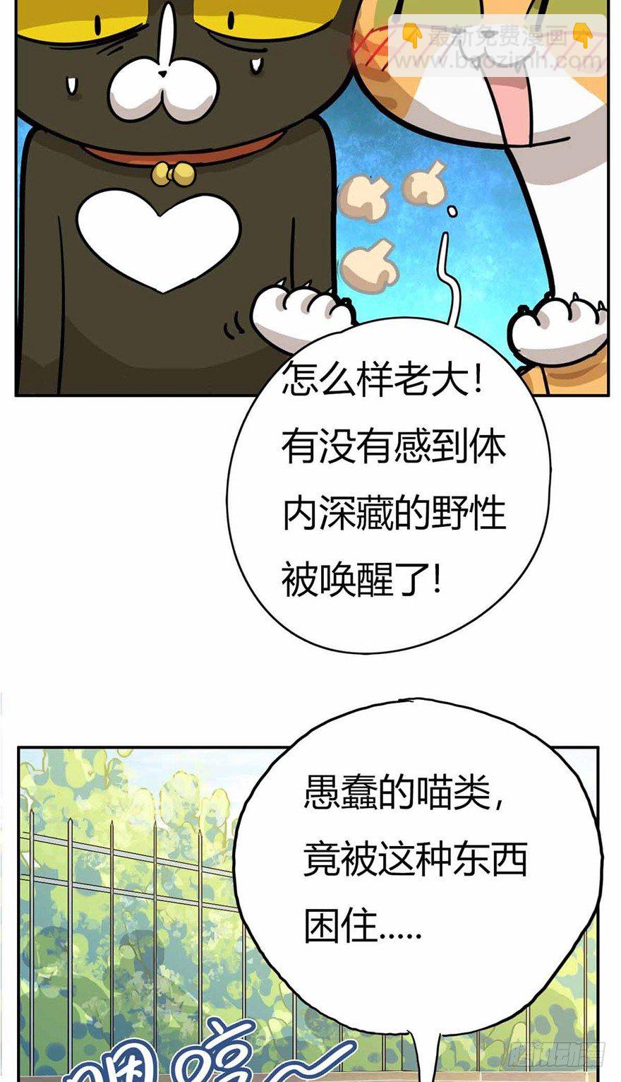 第27爪 猫之结界-第27话