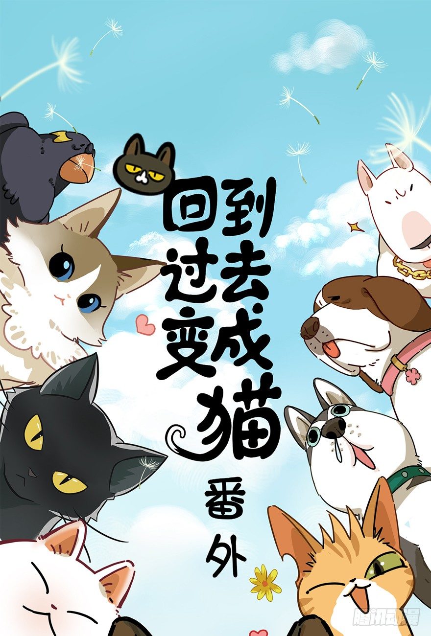 第29爪 猫圈鄙视链（下）-第29话