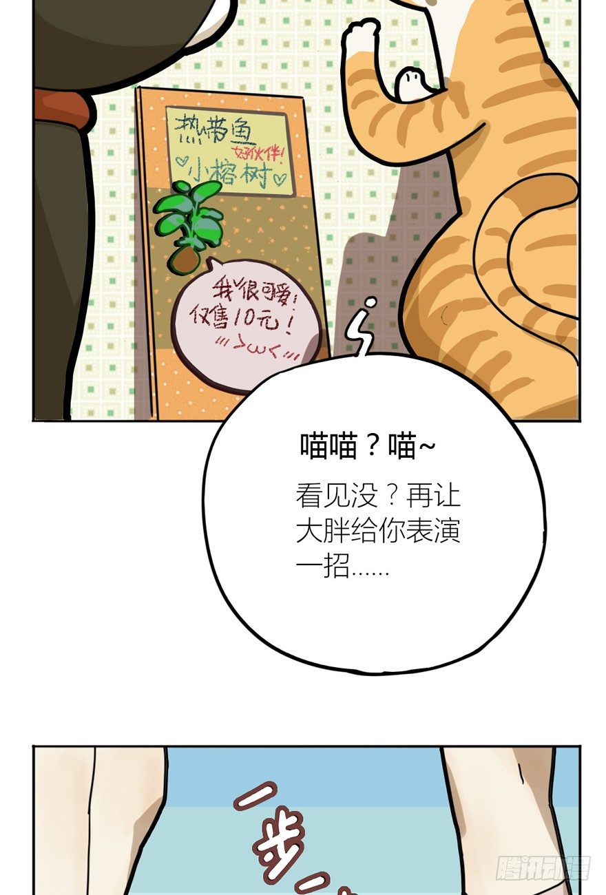 第29爪 猫圈鄙视链（下）-第29话