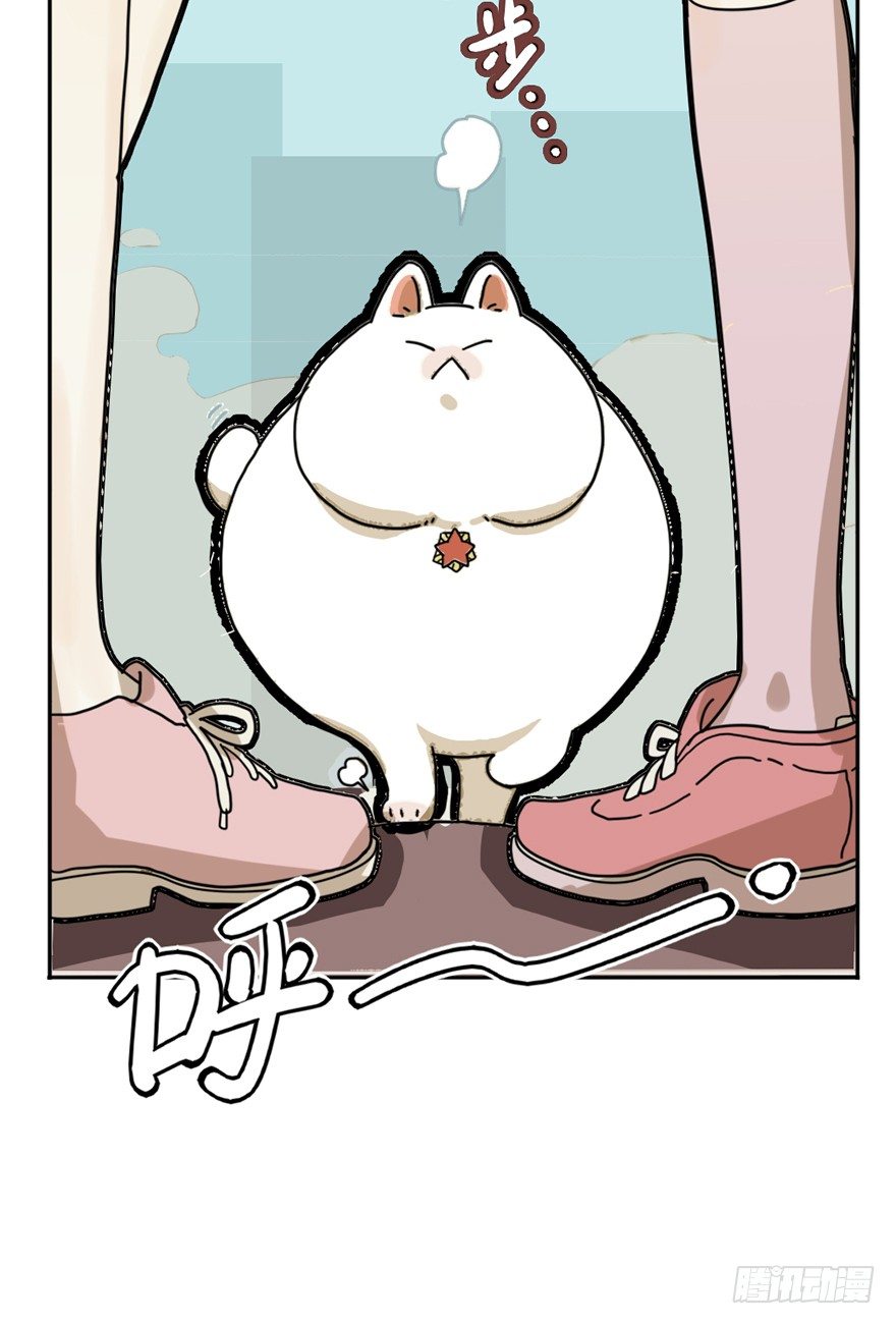 第29爪 猫圈鄙视链（下）-第29话
