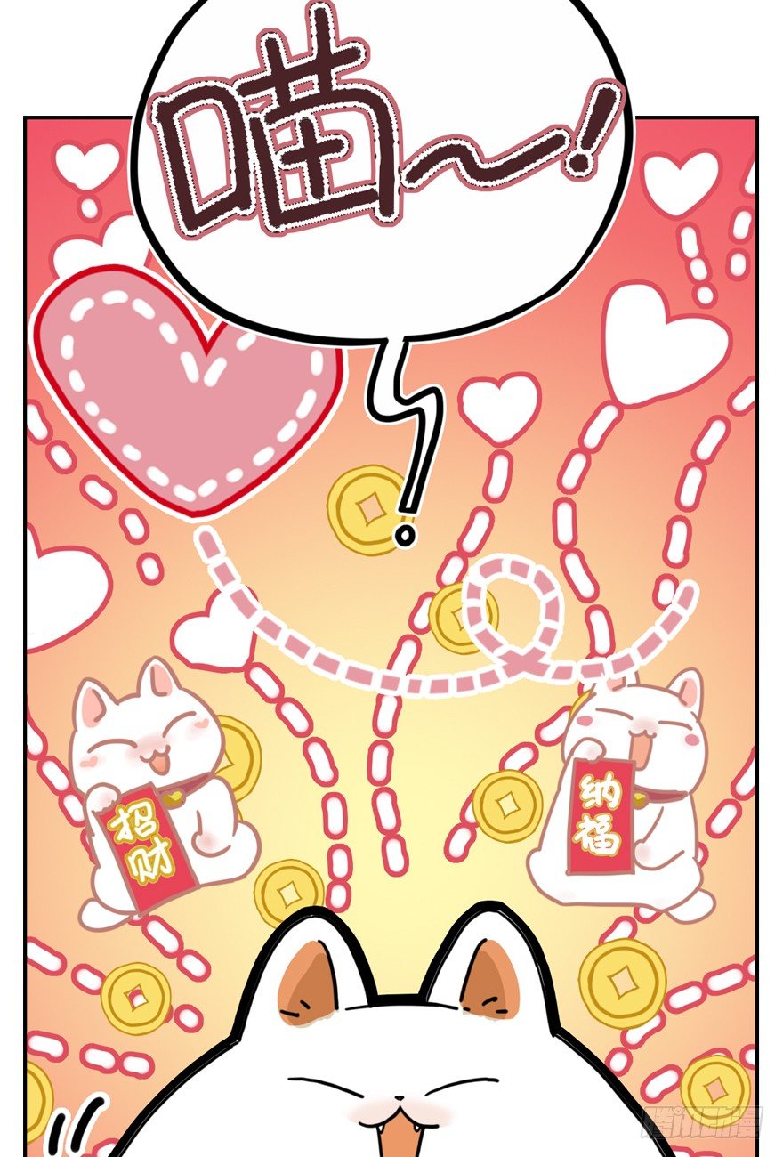 第29爪 猫圈鄙视链（下）-第29话
