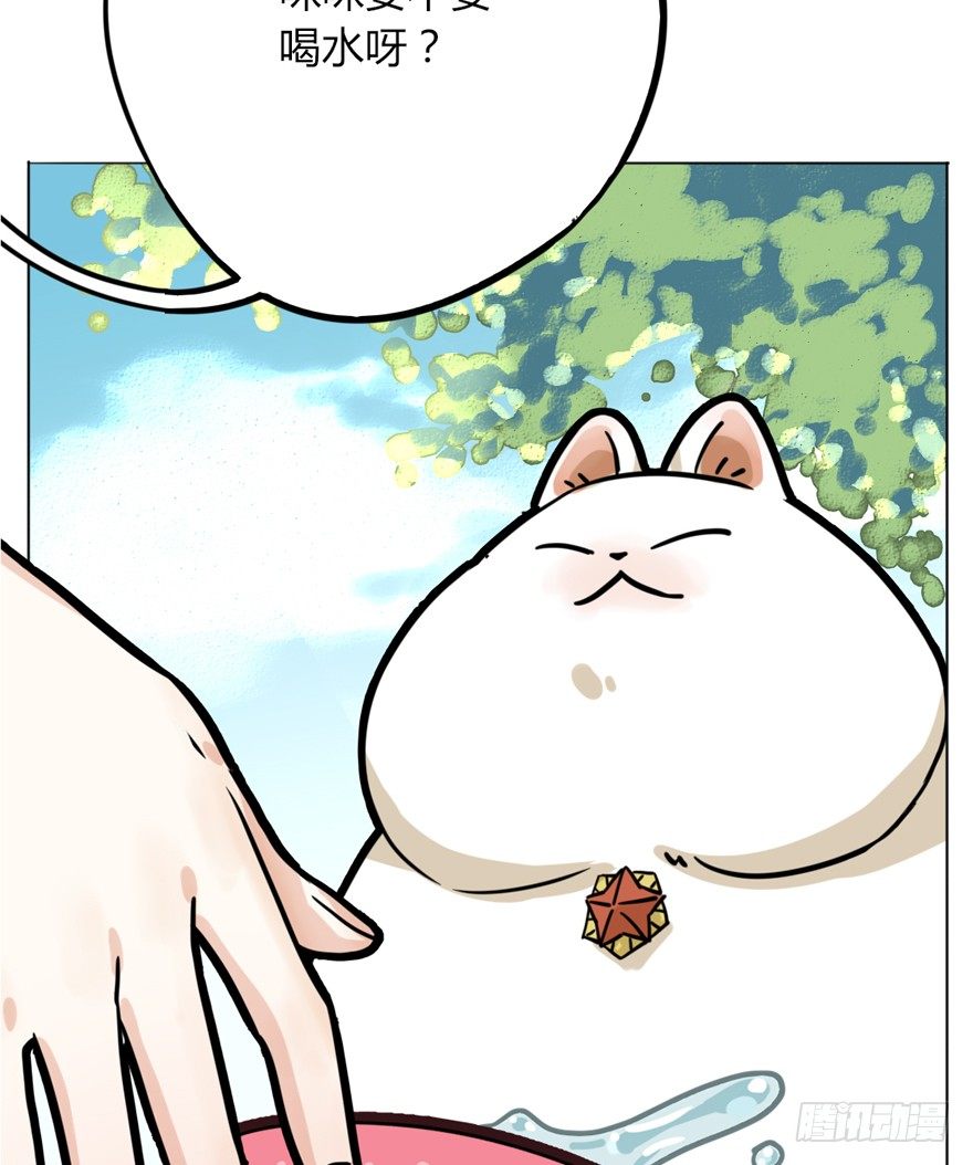第29爪 猫圈鄙视链（下）-第29话