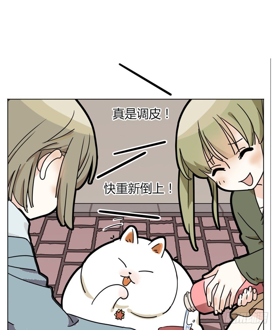 第29爪 猫圈鄙视链（下）-第29话