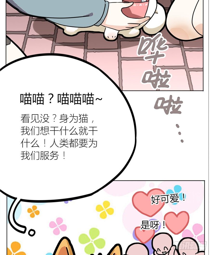 第29爪 猫圈鄙视链（下）-第29话