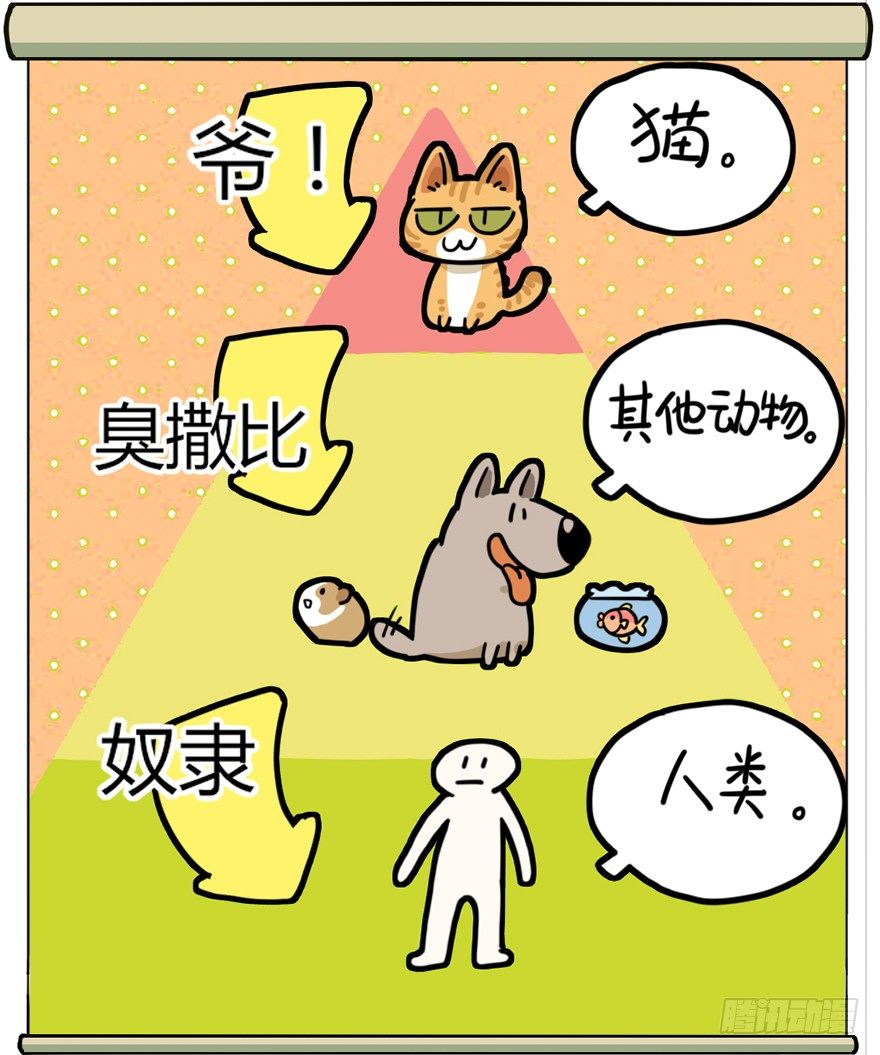 第29爪 猫圈鄙视链（下）-第29话