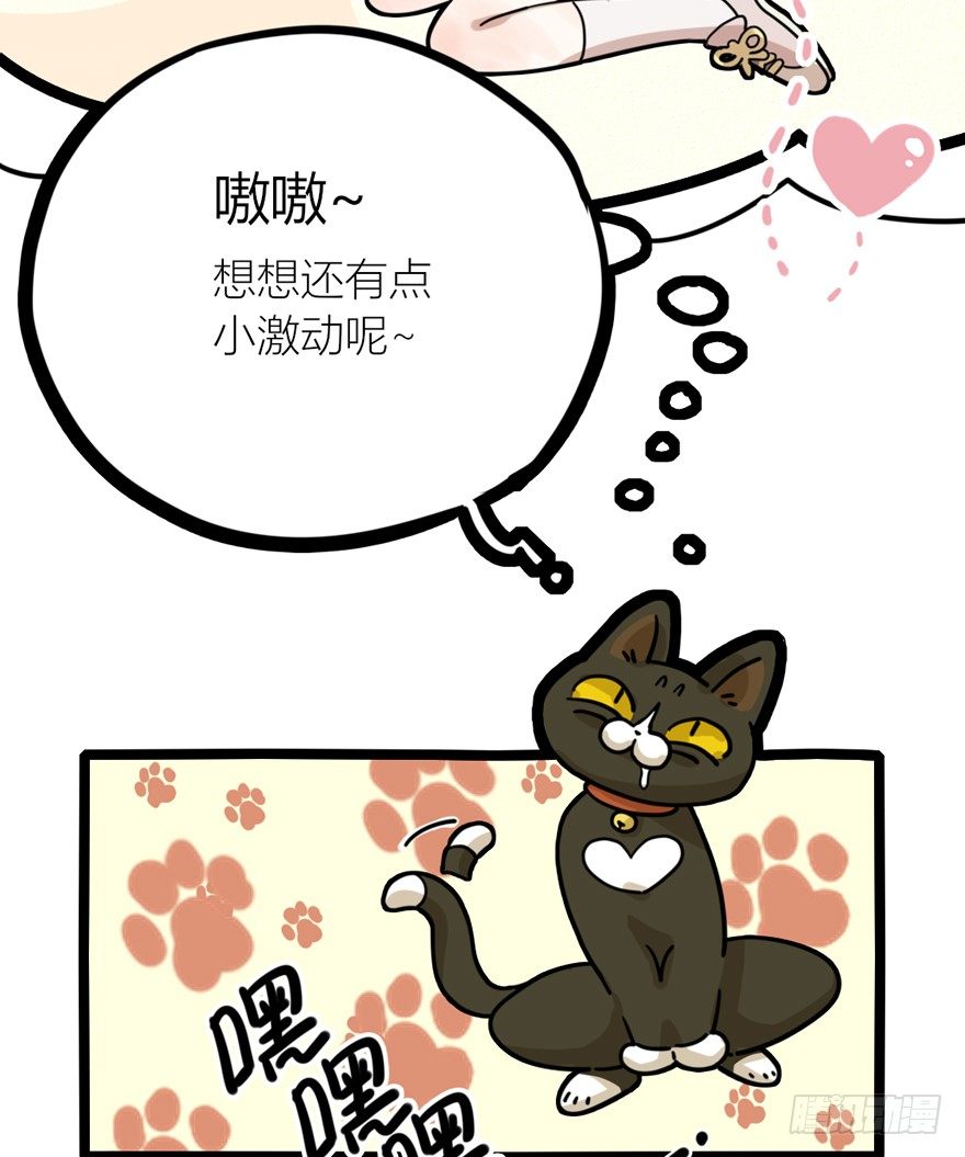 第29爪 猫圈鄙视链（下）-第29话