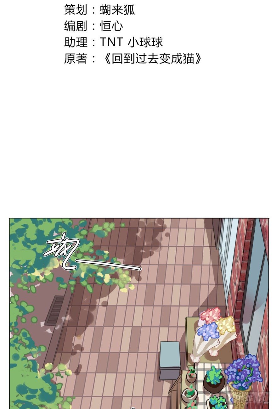 第29爪 猫圈鄙视链（下）-第29话