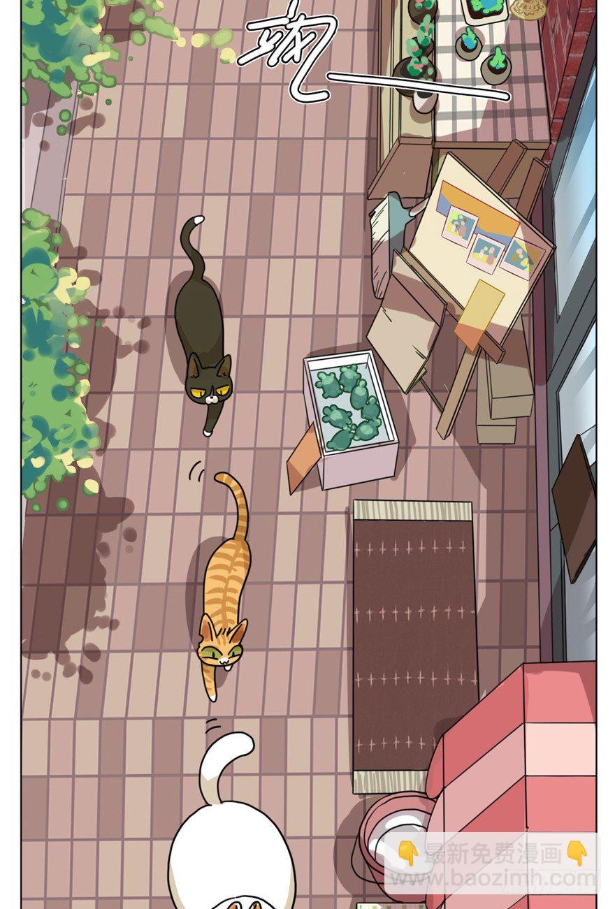第29爪 猫圈鄙视链（下）-第29话