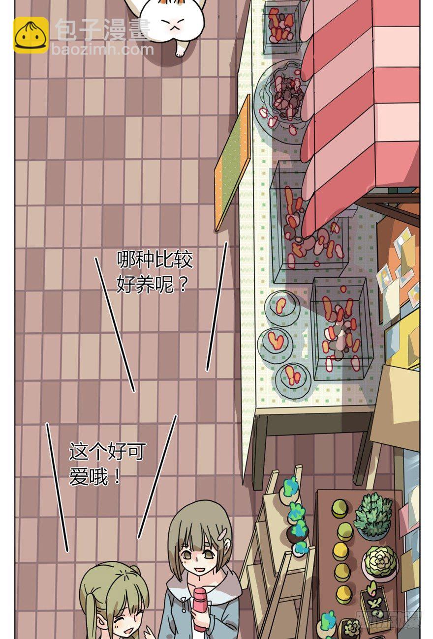 第29爪 猫圈鄙视链（下）-第29话