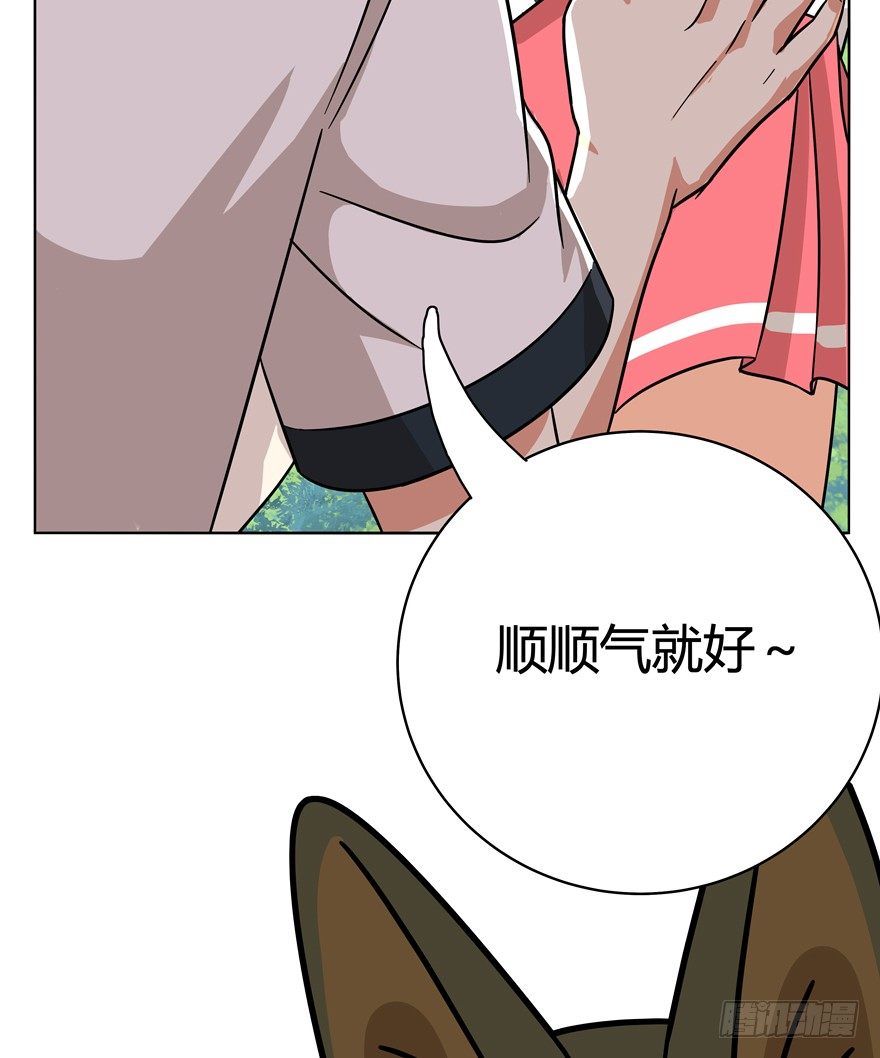 第39爪 那日初心动(1/2)-第39话