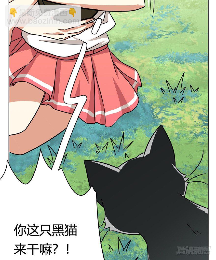 第39爪 那日初心动(1/2)-第39话