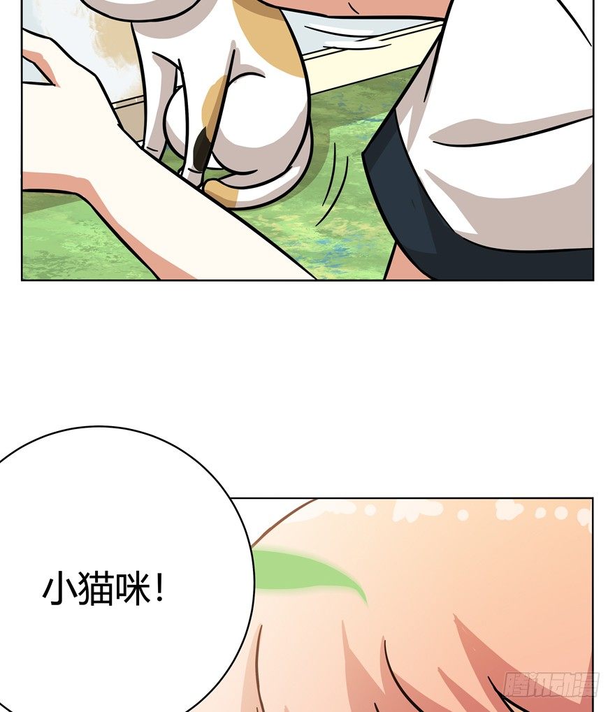 第39爪 那日初心动(1/2)-第39话