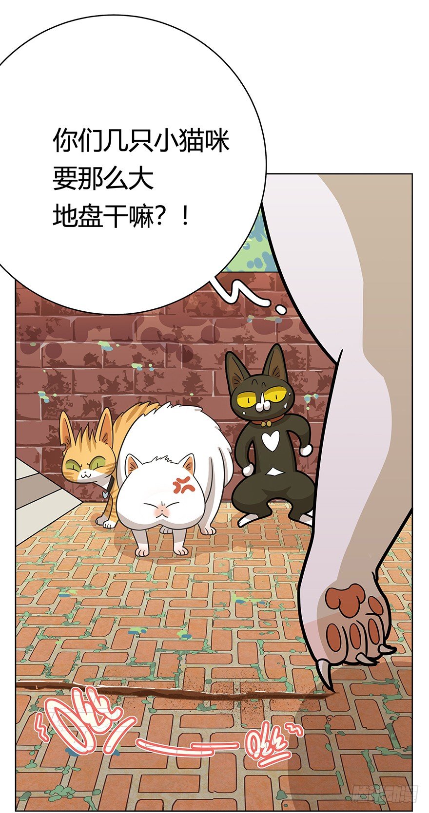 第41爪 外来户（下）-第41话