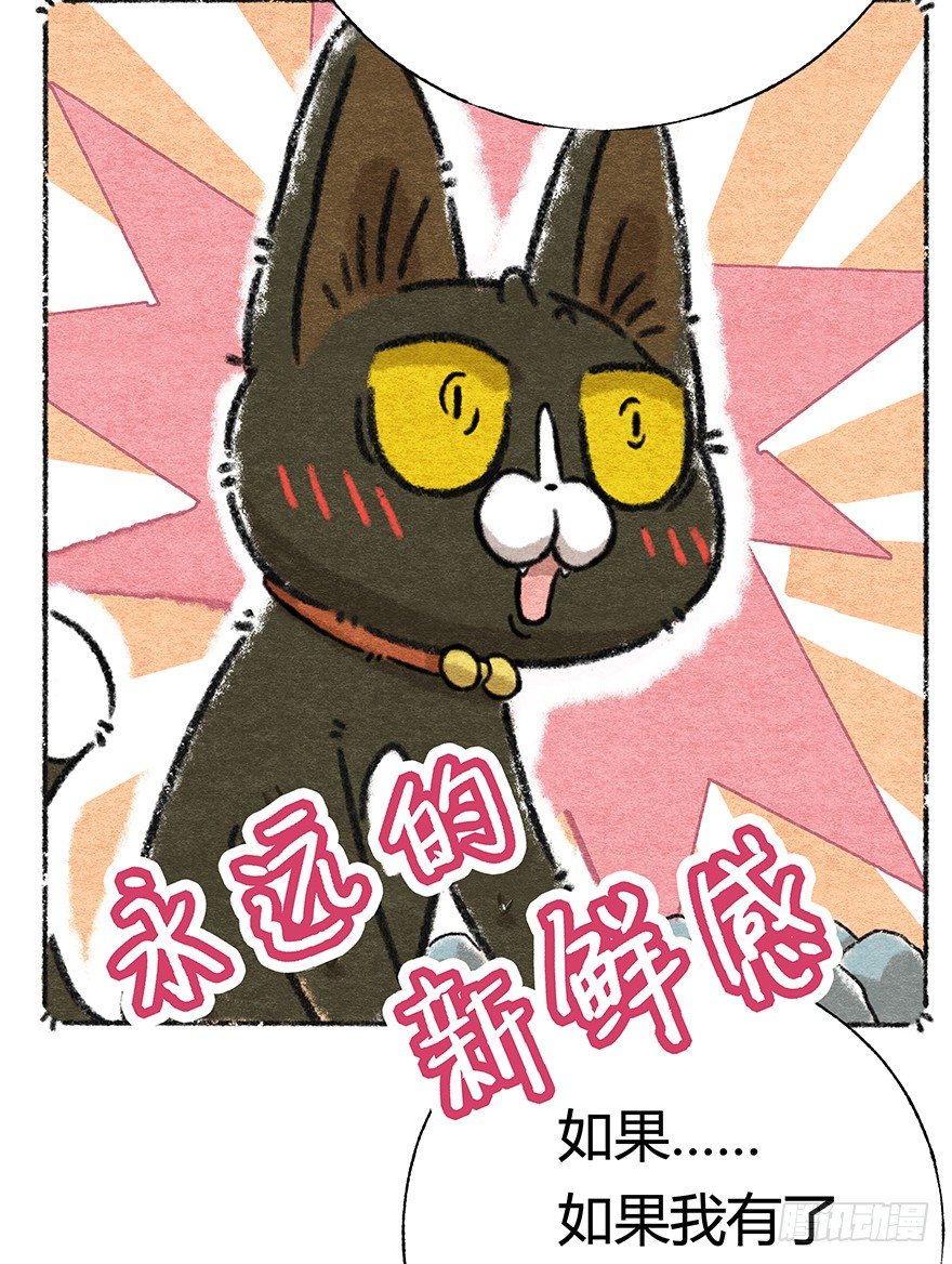 新年番外四 大开眼界（上）-第45话