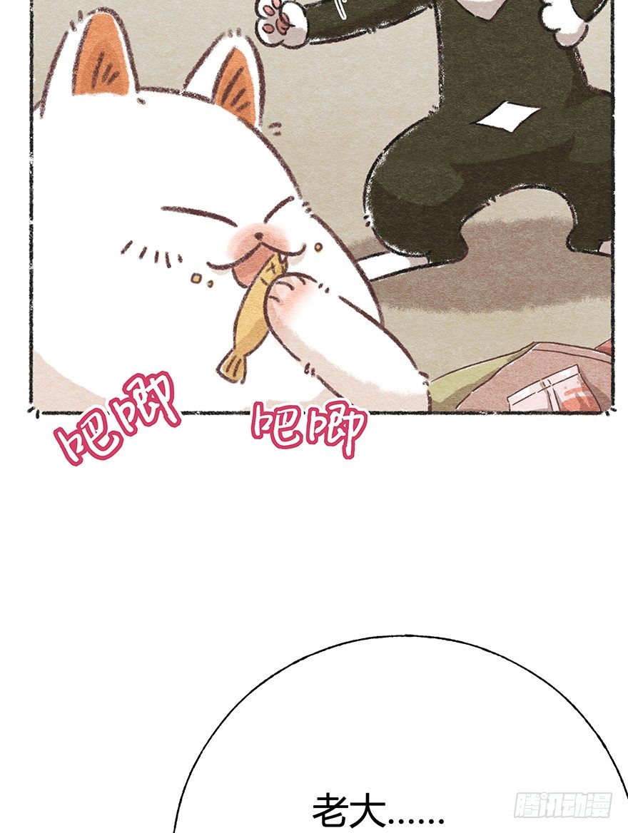 新年番外四 大开眼界（上）-第45话