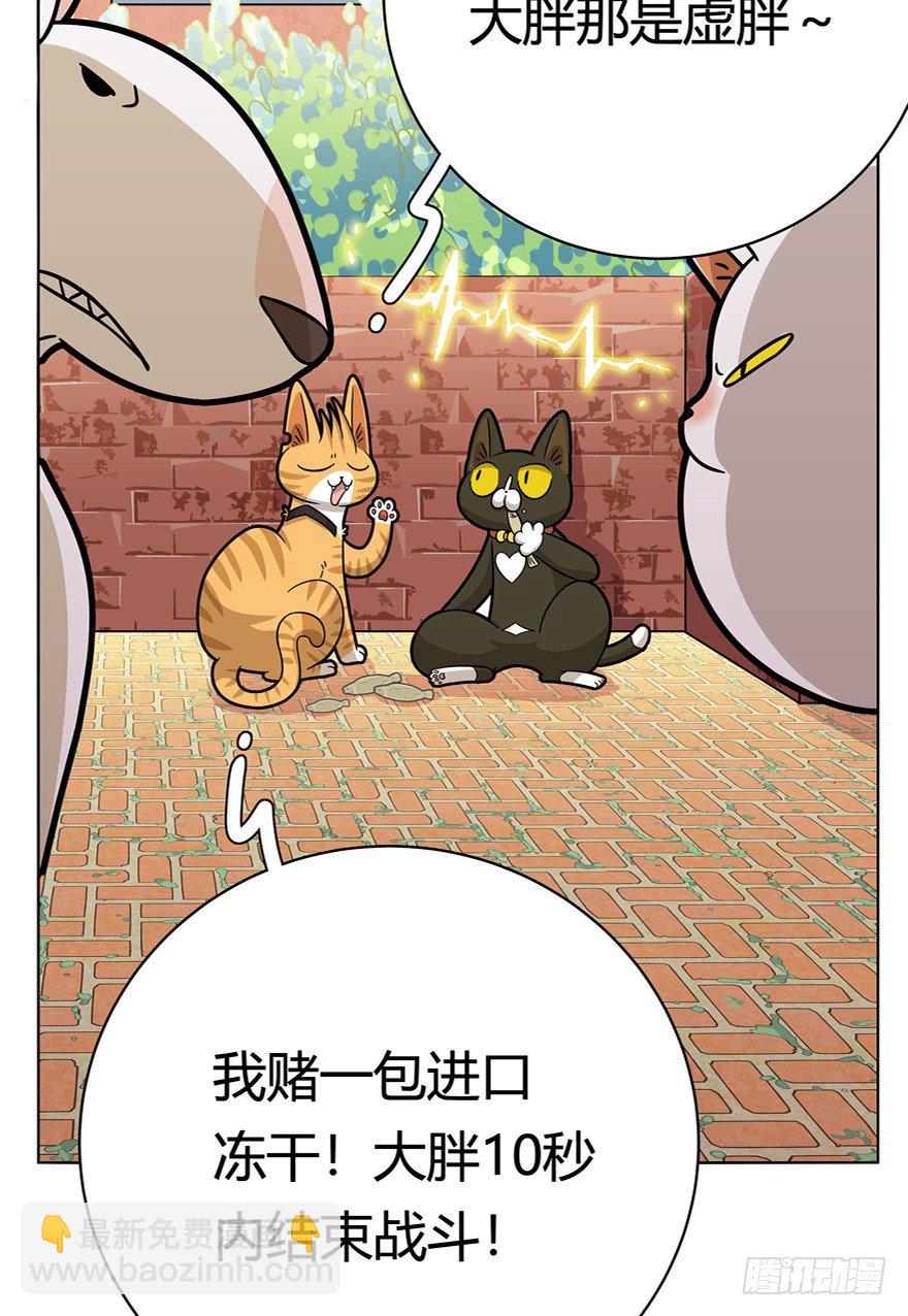 第43爪 想不到的结局（下）-第49话