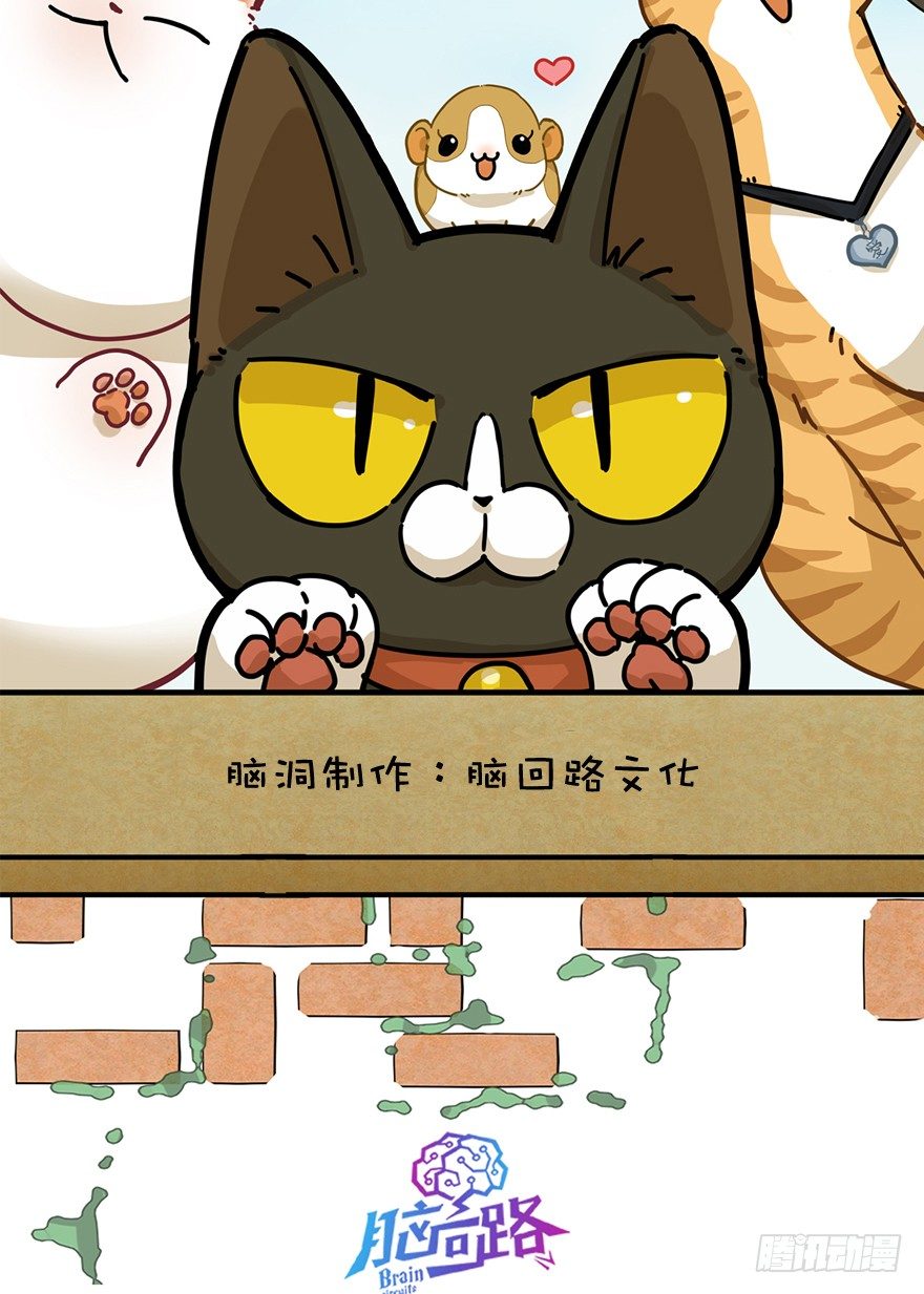 第43爪 想不到的结局（下）-第49话