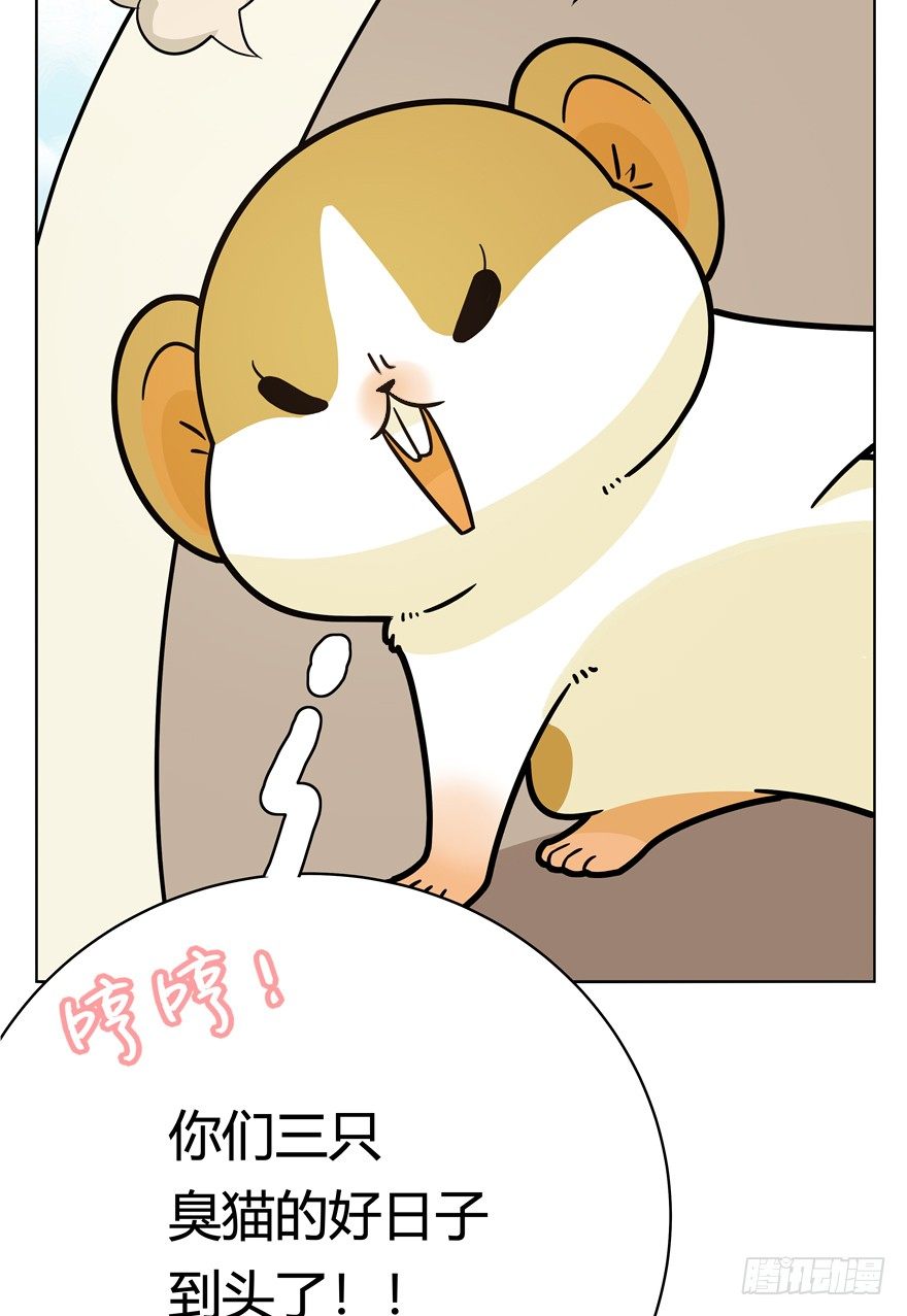 第43爪 想不到的结局（下）-第49话