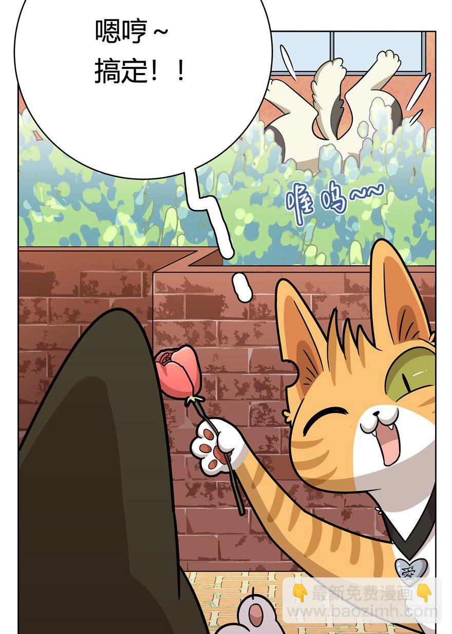 第43爪 想不到的结局（下）-第49话