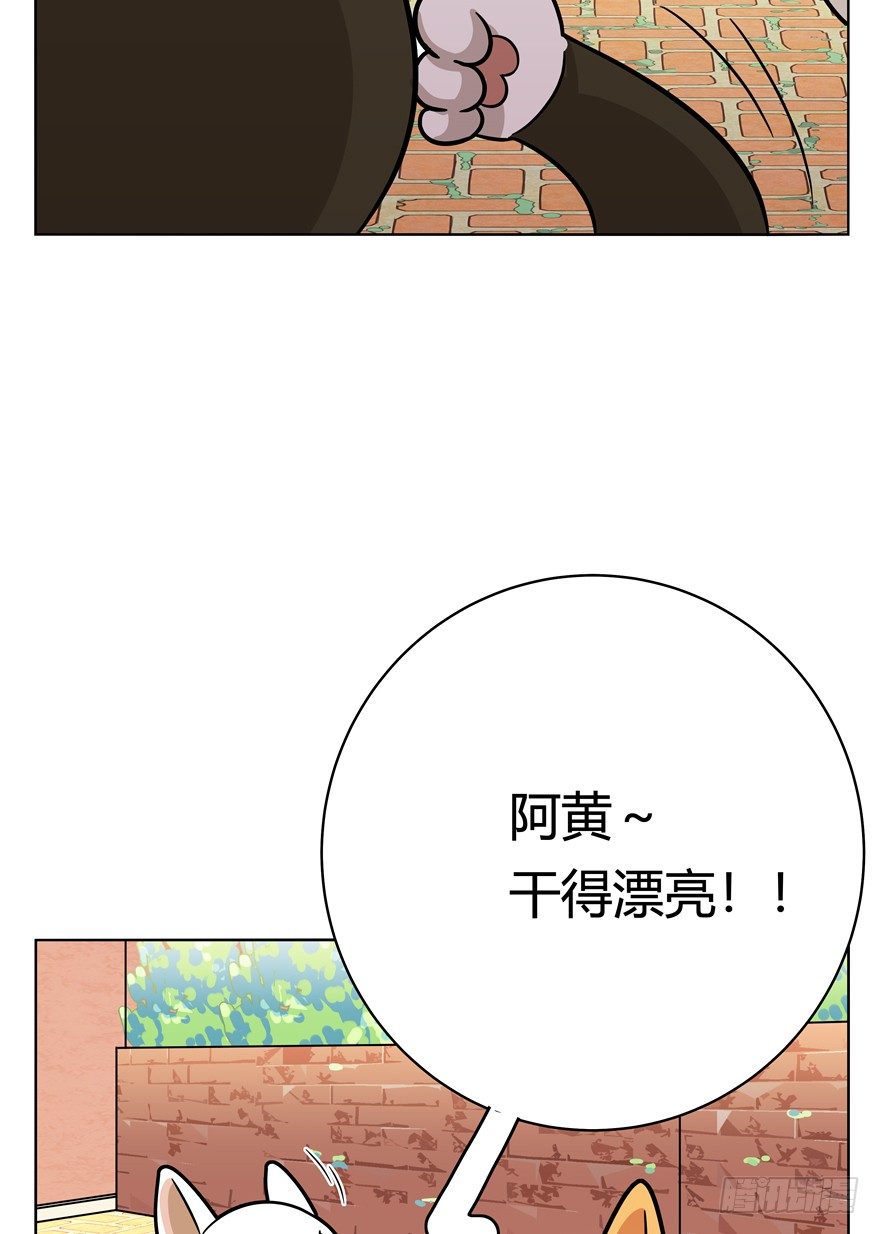 第43爪 想不到的结局（下）-第49话