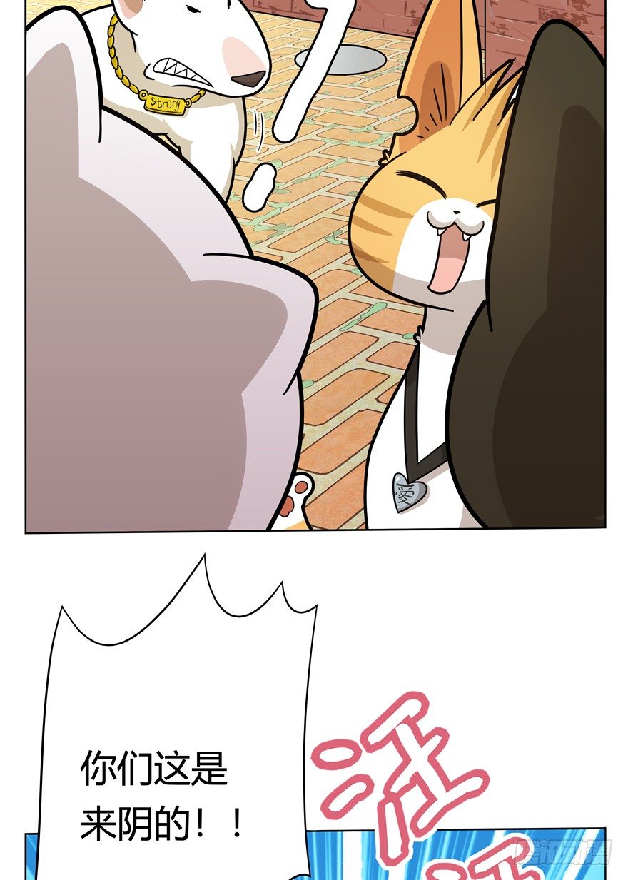 第43爪 想不到的结局（下）-第49话