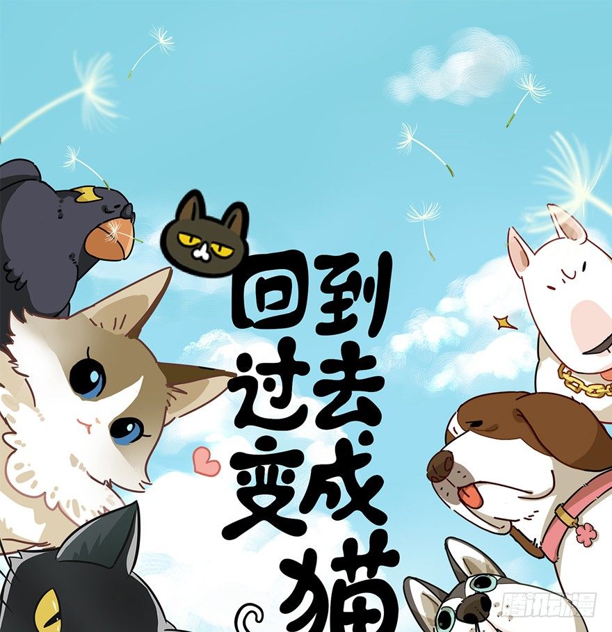第45爪 夜幕下的阴谋（下）-第51话
