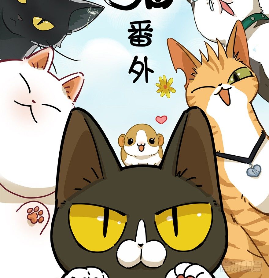 第45爪 夜幕下的阴谋（下）-第51话