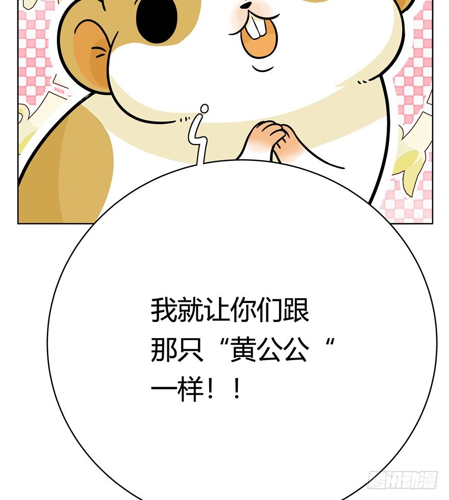 第45爪 夜幕下的阴谋（下）-第51话