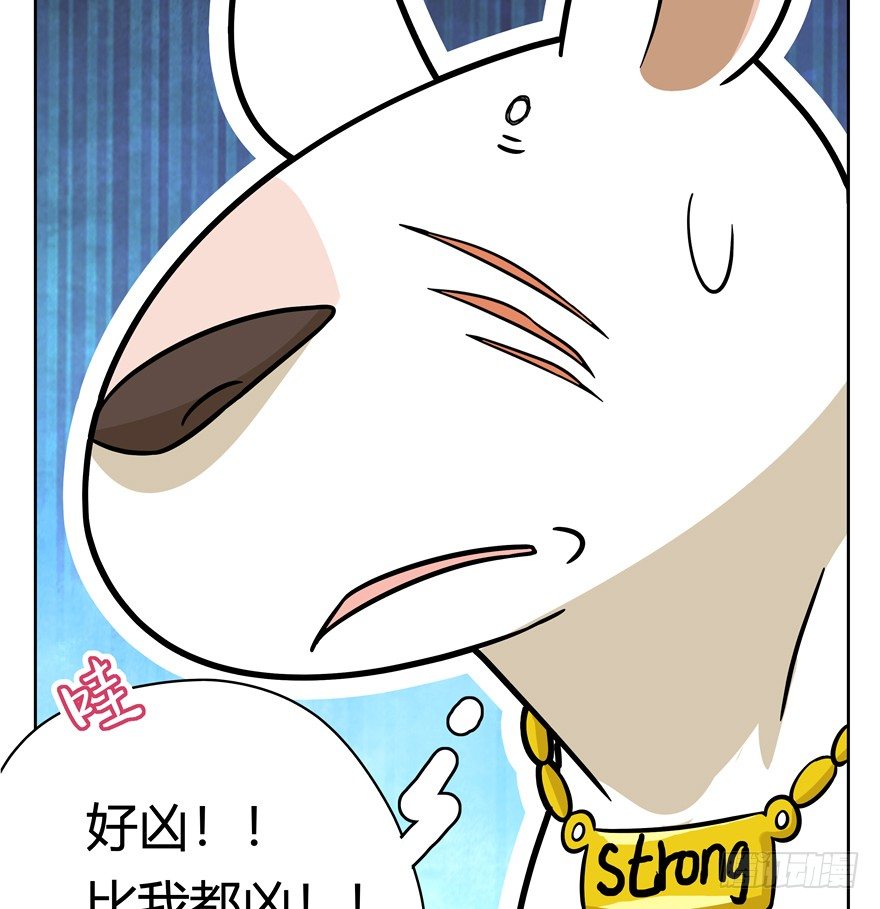 第45爪 夜幕下的阴谋（下）-第51话