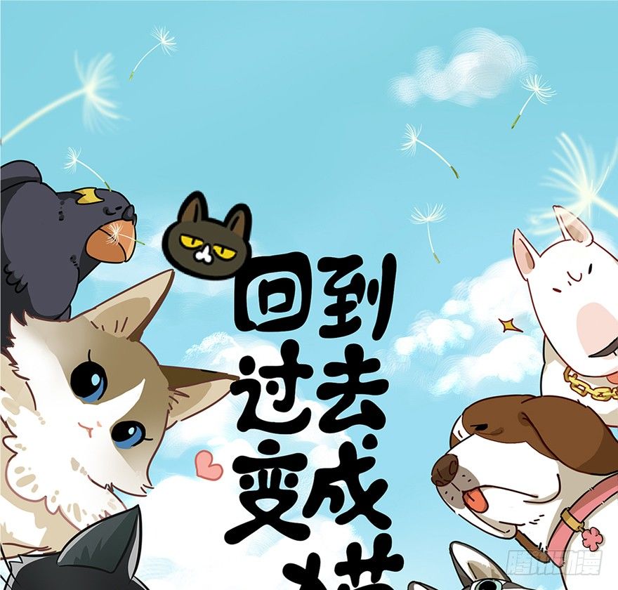 第47爪 强力外援（上）-第53话