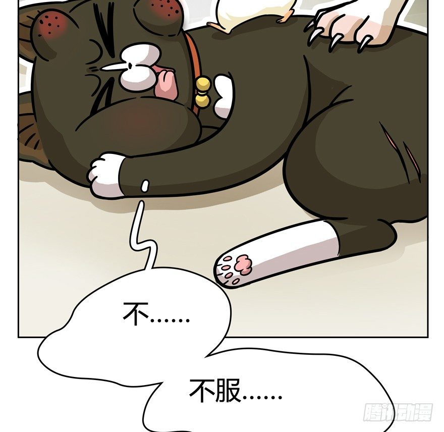 第47爪 强力外援（上）-第53话