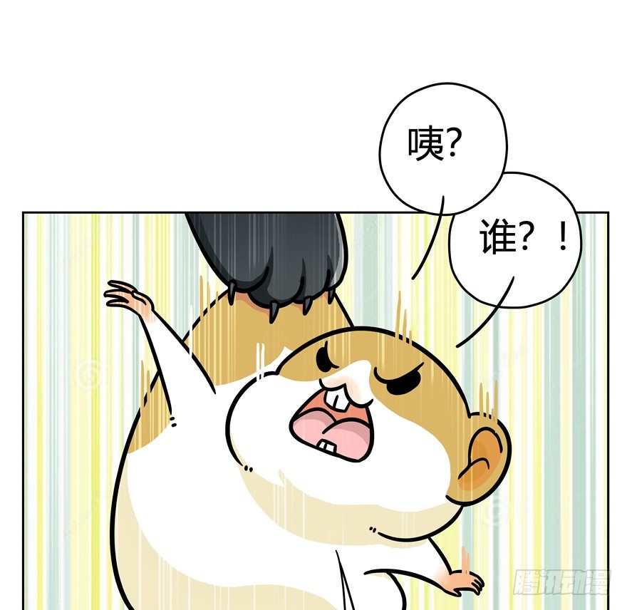 第47爪 强力外援（上）-第53话