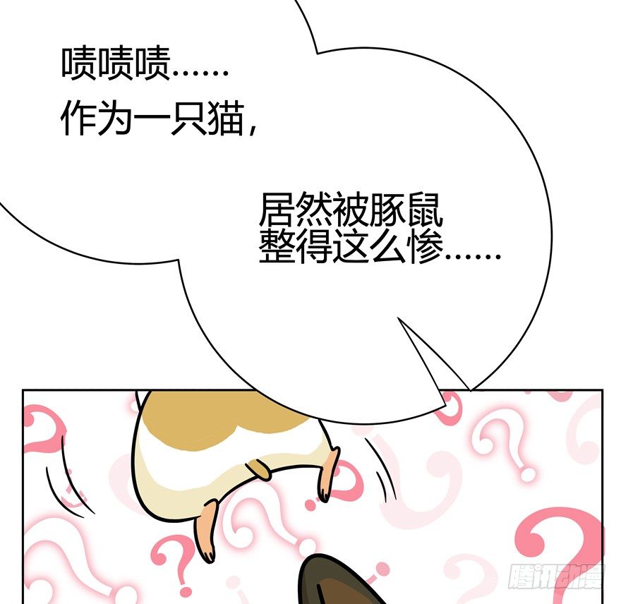 第47爪 强力外援（上）-第53话