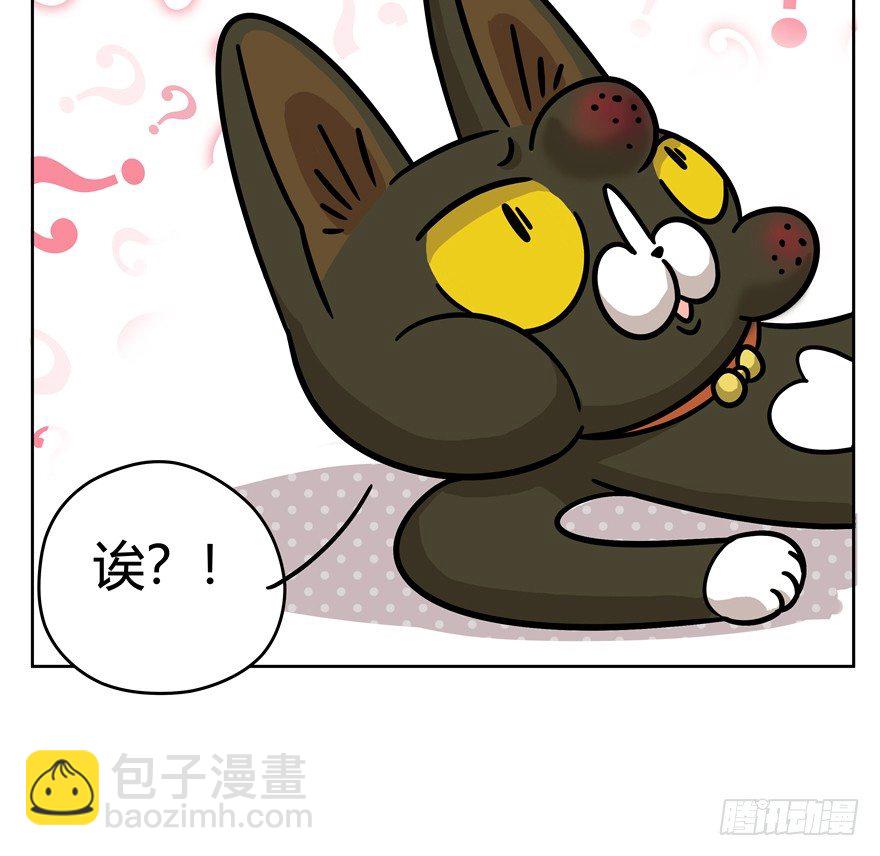 第47爪 强力外援（上）-第53话