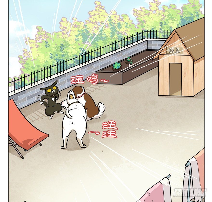 第47爪 强力外援（上）-第53话