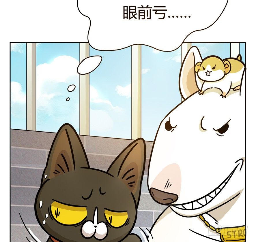 第47爪 强力外援（上）-第53话