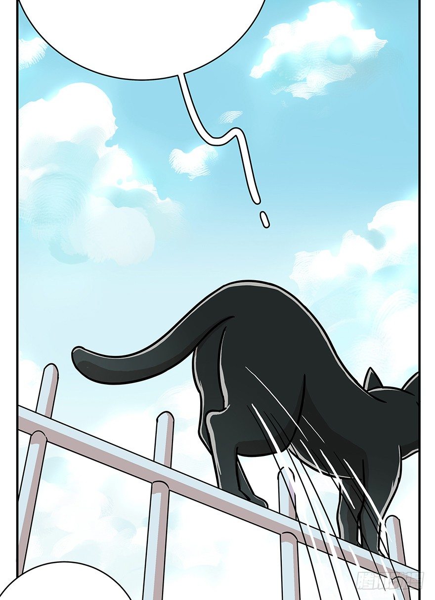 第49爪 狐假虎威-第55话