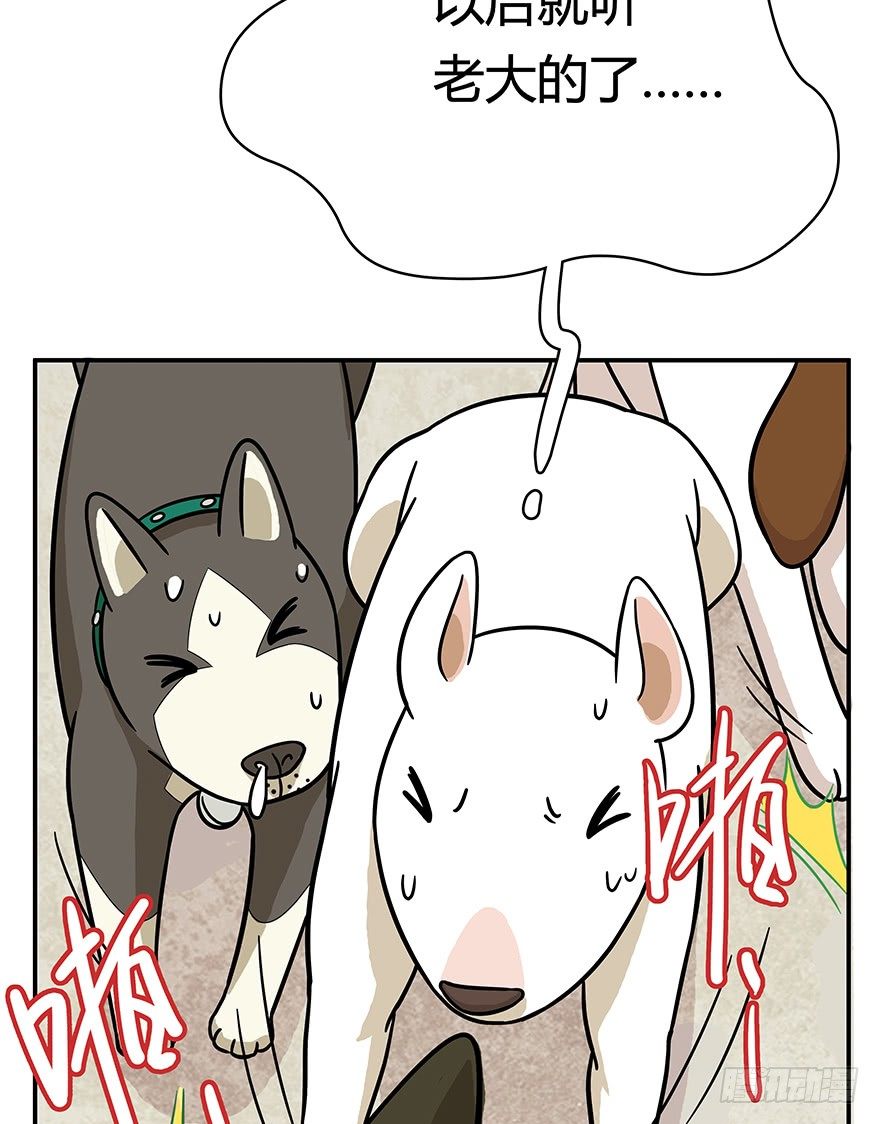 第49爪 狐假虎威-第55话