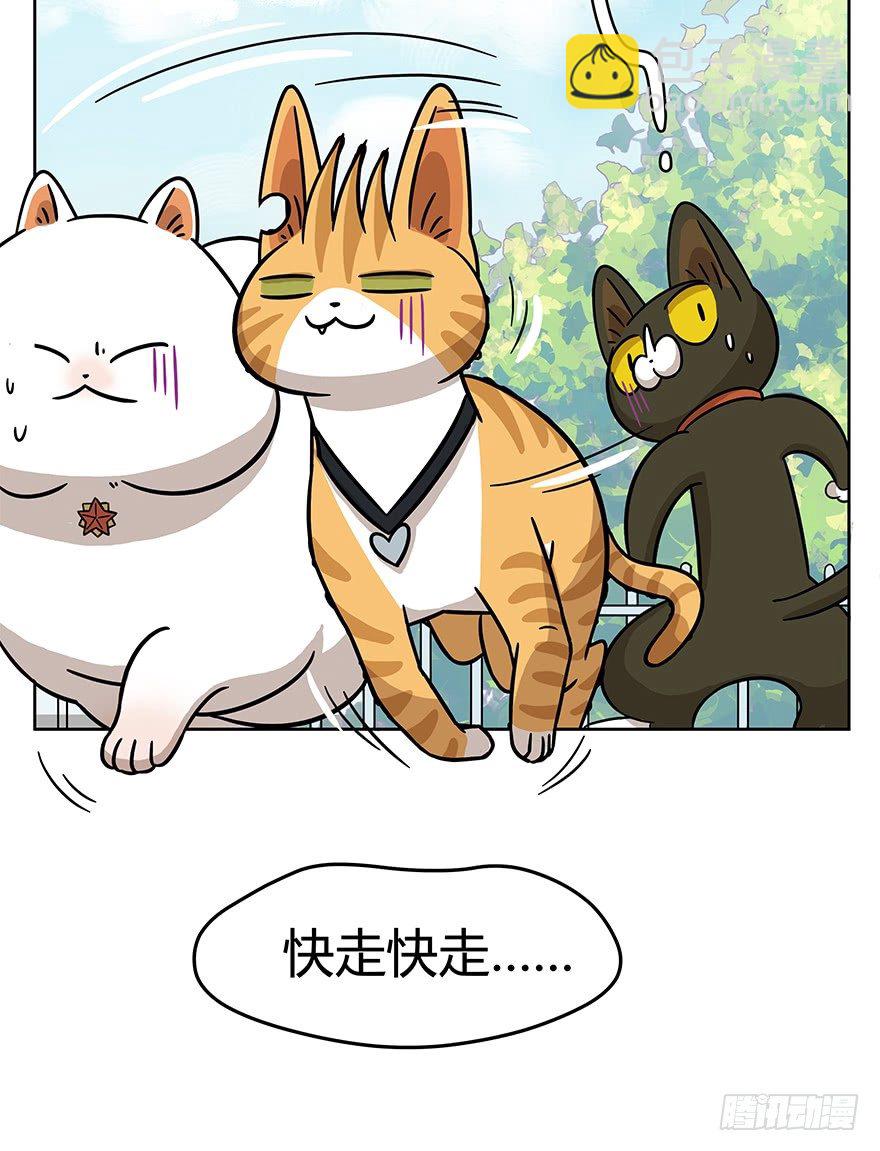 第51爪 送礼（下）-第57话