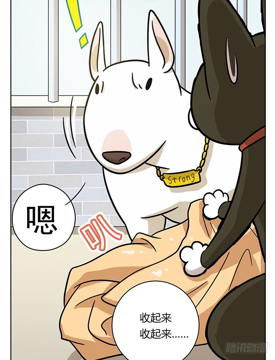 第51爪 送礼（下）-第57话