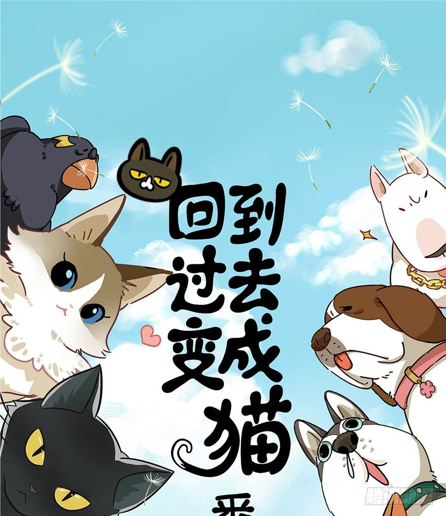 第59爪 到底是谁（下）-第65话