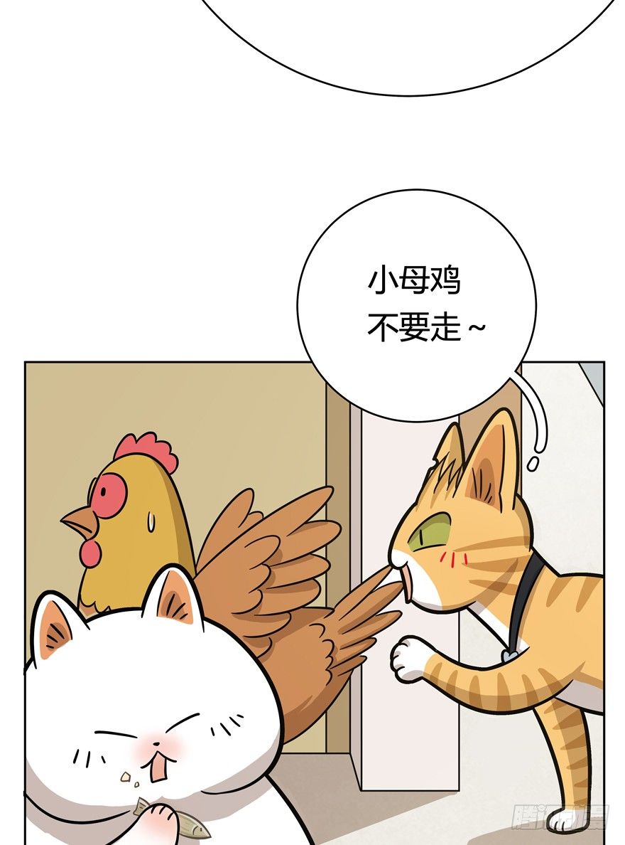 第59爪 到底是谁（下）-第65话