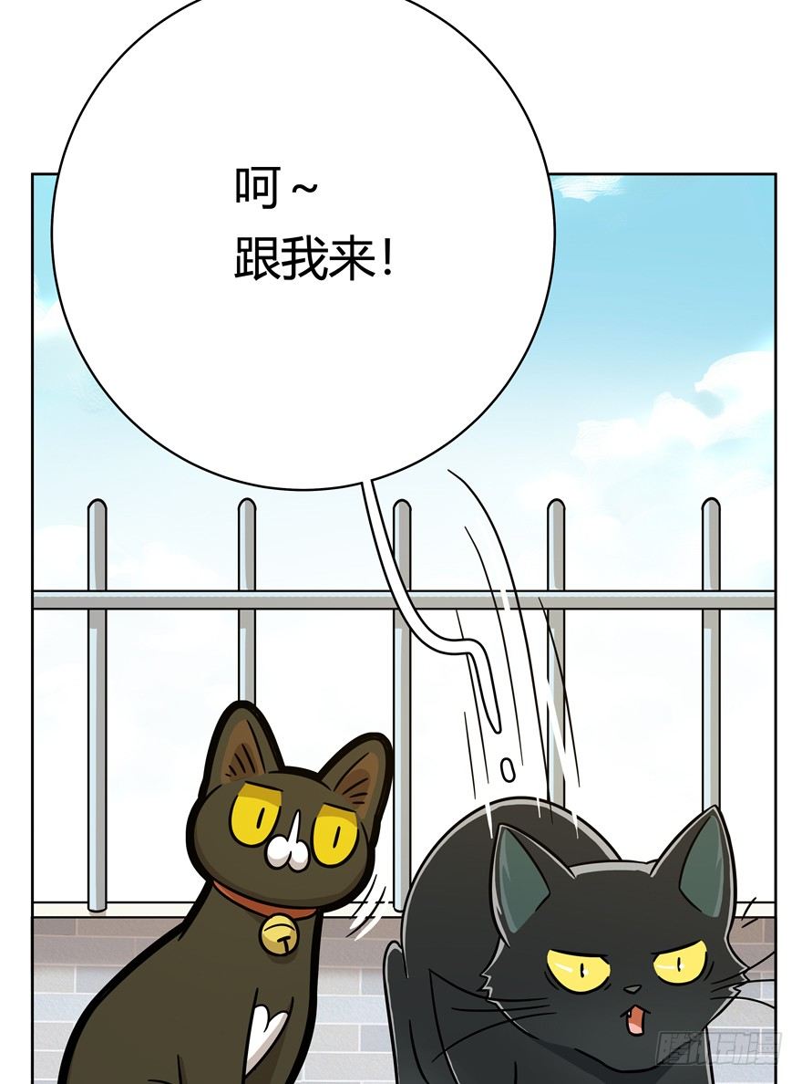 第59爪 到底是谁（下）-第65话