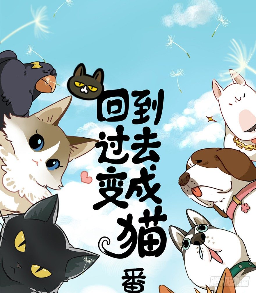 第61爪 &ldquo;虐猫&rdquo;照骗（上）-第67话